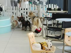 -怪兽屋·羊驼·猫咖·狗咖(俊华广场店)