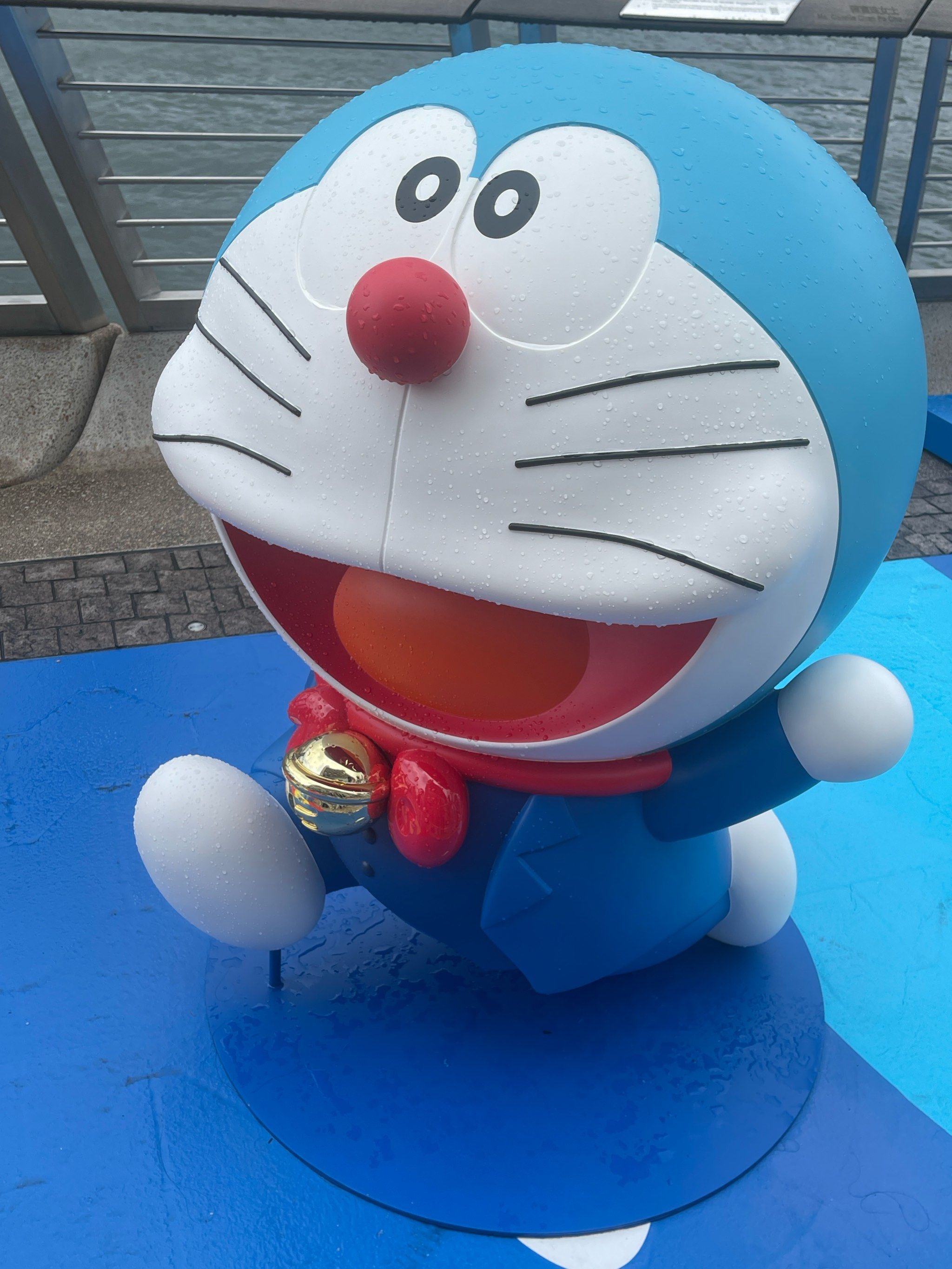天天领红包看到了心心恋恋的叮当猫 哈哈