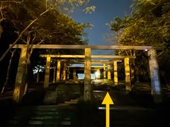 -深圳湾公园(南山区)