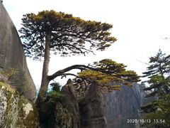 -黄山风景区