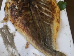 -赶海部落海鲜城(海阳路店)