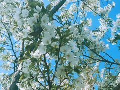 -白塘生态植物园