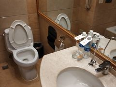 -长沙小天鹅戴斯酒店