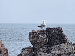 -长岛南北长山旅游景区