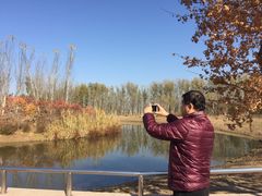 -东郊湿地公园