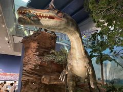 -湖南省地质博物馆