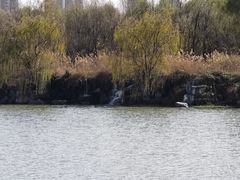 -西安浐灞国家湿地公园