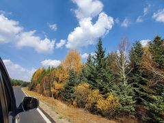 -塞罕坝国家级自然保护区