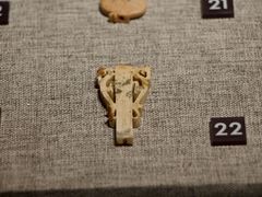 -鸿山遗址博物馆