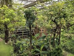 -呀路古热带植物园