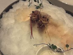 -桂满陇·海市蜃楼·黑金(国金店)