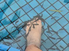 -三亚亚龙湾金棕榈度假酒店