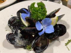 法式白酒奶油烩青口-Supine Bistro溯泮餐厅