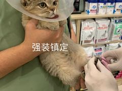 -萌兽医馆·眼科·异宠专科(三里屯店)