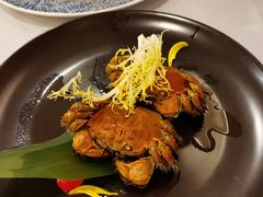 -全聚德(上海首店浦东店)