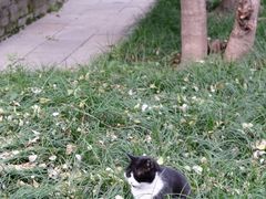 -西安碑林博物馆
