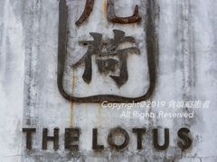 -几荷·恰似故人来(秀水广场店)