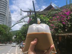 -西双版纳原始森林公园