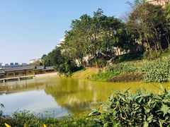 -重庆工商大学(南岸校区)