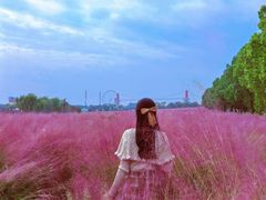 -花博汇(知音花月夜)