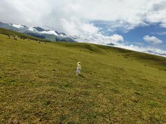 -新疆那拉提国家旅游度假区