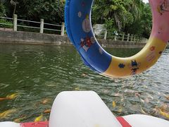 -广东茂名森林公园