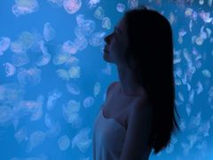 -多彩贵州城极地海洋世界