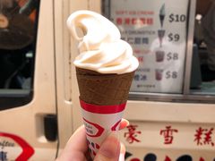 -富豪雪糕车流动点(尖沙咀店)