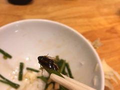 -顺德佬(石厦店)