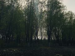 -东郊湿地公园