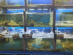 -老东镇啤酒屋海鲜加工·蒸汽海鲜·海鲜烧烤(台东店)