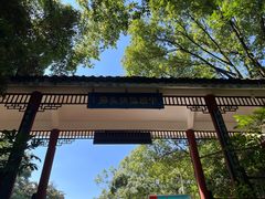 -潜山国家森林公园
