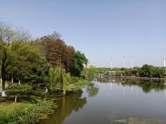 -月湖风景区