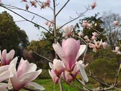 -蜀冈西峰生态公园