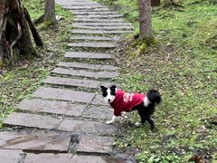 -硗碛藏寨·神木垒景区