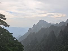 -自游人·美食一楼·地道徽菜(三十年名店)
