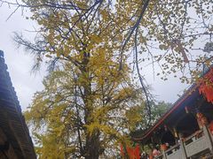 -金堂县云顶石城风景区