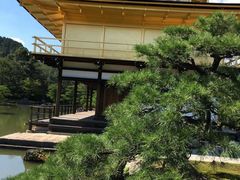 -有栖山 清光院 清水寺