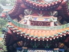 -洛阳市牡丹公园