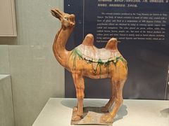 -镇江博物馆