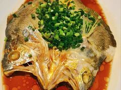 葱油蒸黄鱼-醉辉皇上海之巅(上海中心大厦店)