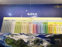 -贝壳王国博物馆