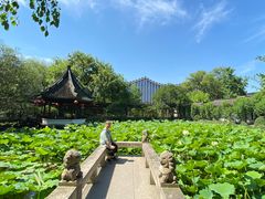 -上海醉白池公园