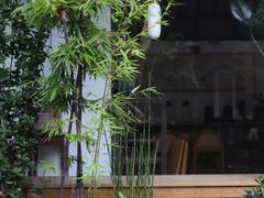 -知亘茶食