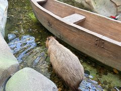 -杭州开元森泊度假乐园