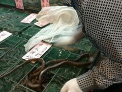 -荔城生鲜盛宴(番禺旗舰店)