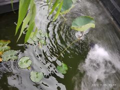 -濮园 · 四合院餐厅