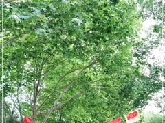 -中国石油大学（北京）(北京西校区)