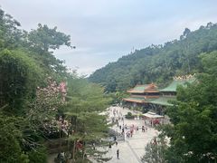 -神光山国家森林公园