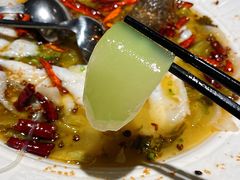 -九毛九西北菜(大东海店)